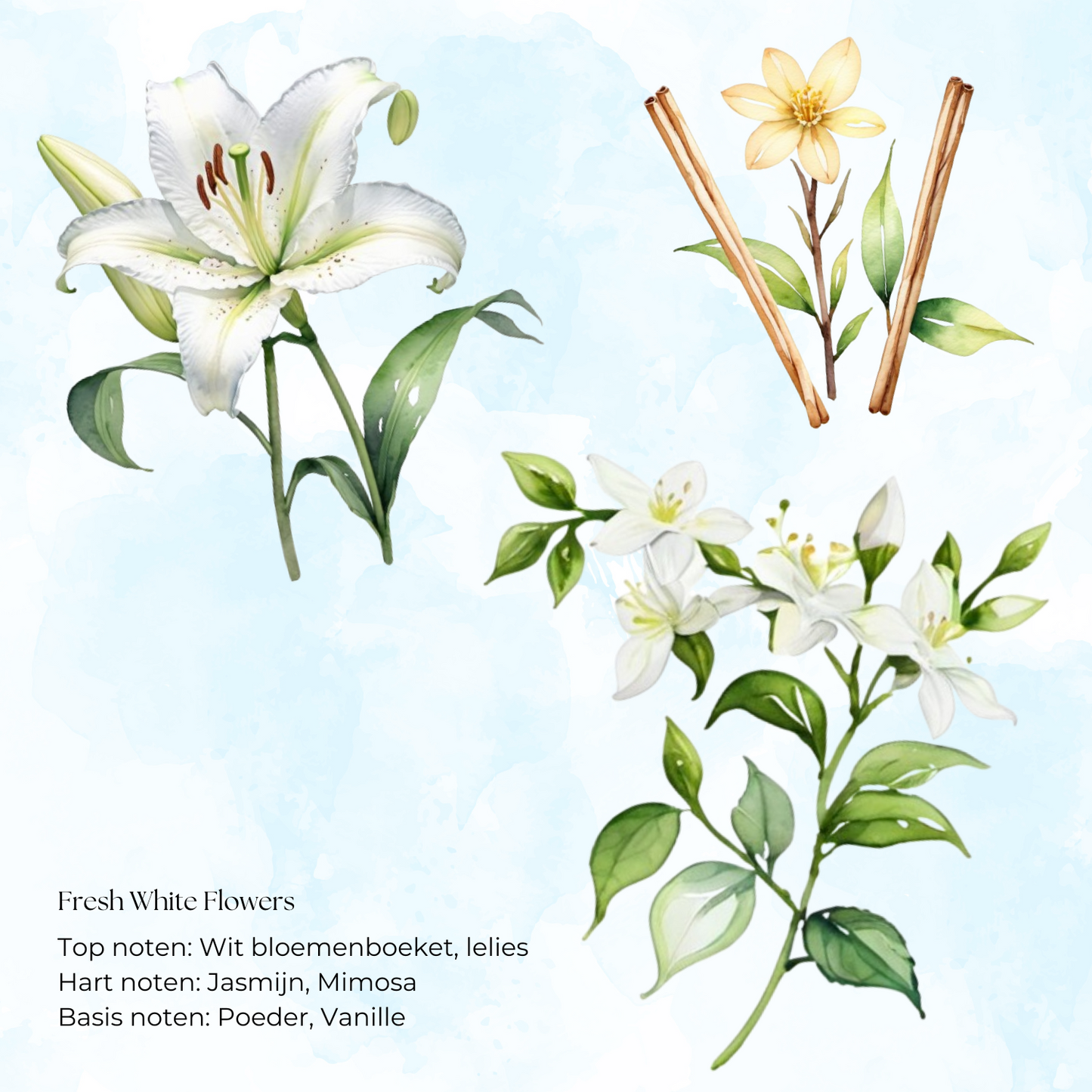 Fresh white flowers diffuser