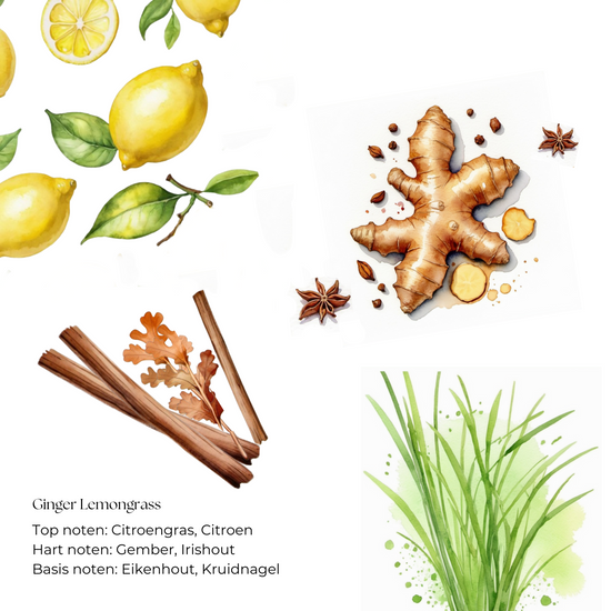 Ginger Lemongrass Roomspray