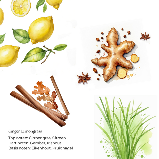 Ginger Lemongrass kaars